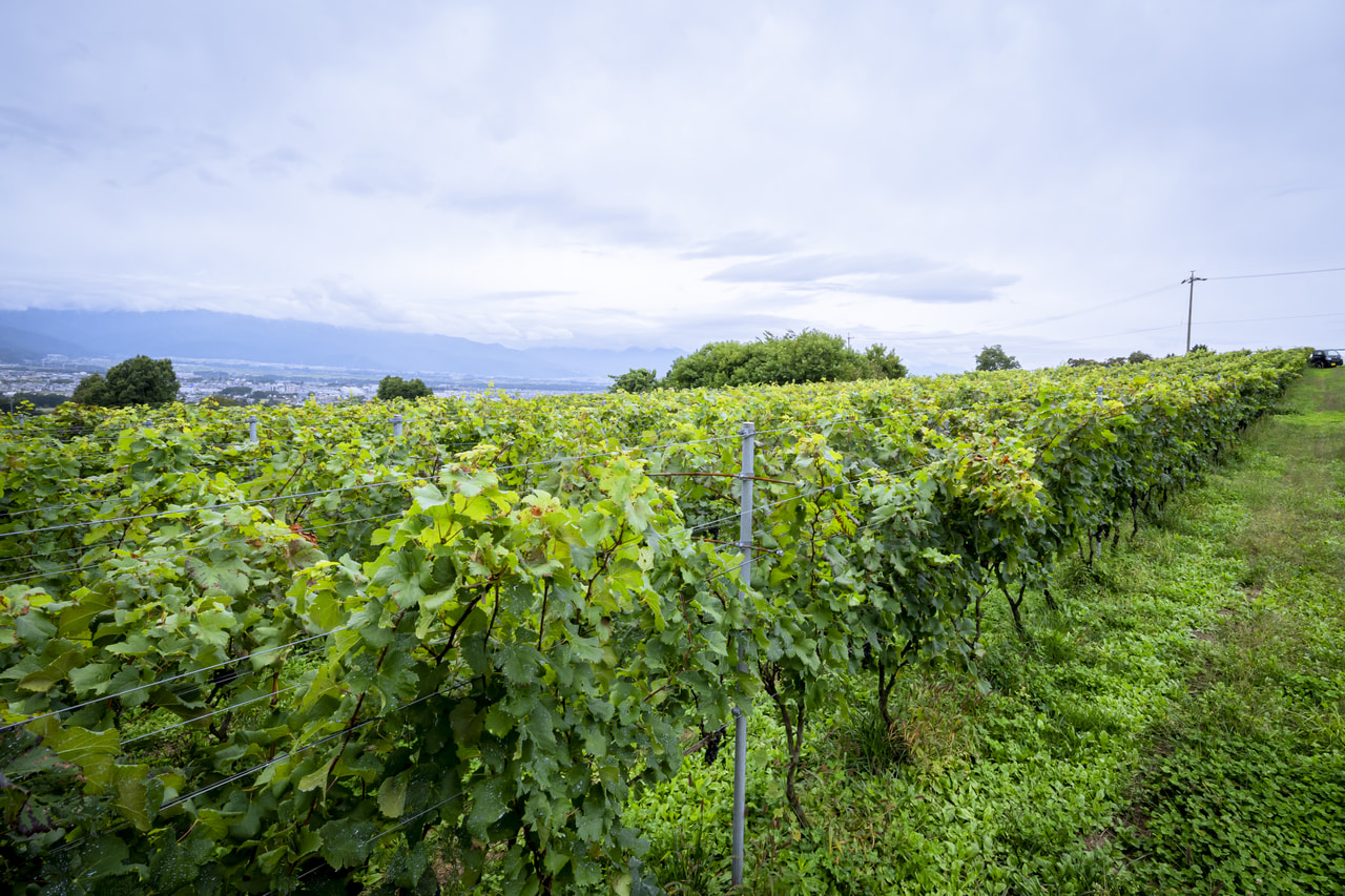 奥岳川