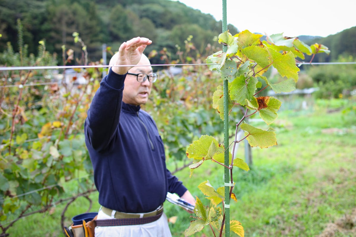 vol.51 Collabo Vineyard<br>三澤 智行さん<br><br>岡谷市ではじまった