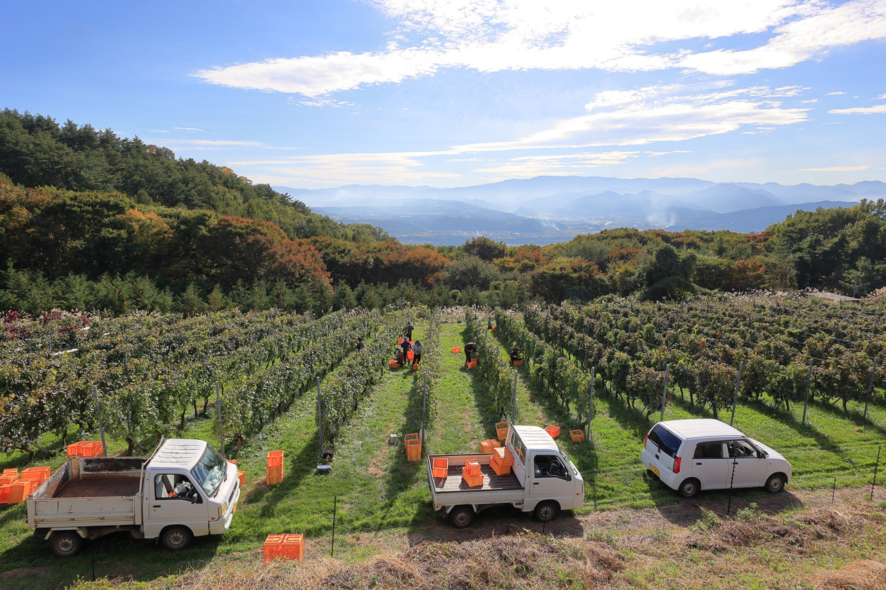 千曲川ワインバレーのワインで地域創生を促すクラウドファンディング！