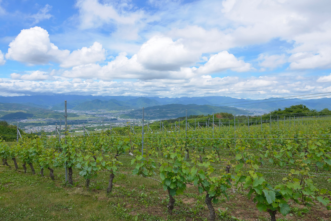 信州須坂蔵のまち駅前フェスタ実行委員会がWINE FAIR SUZAKA 2015を開催します