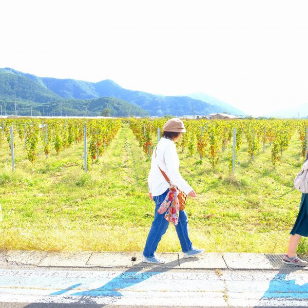 名古屋発着　NAGANO WINEの日帰りバスツアー