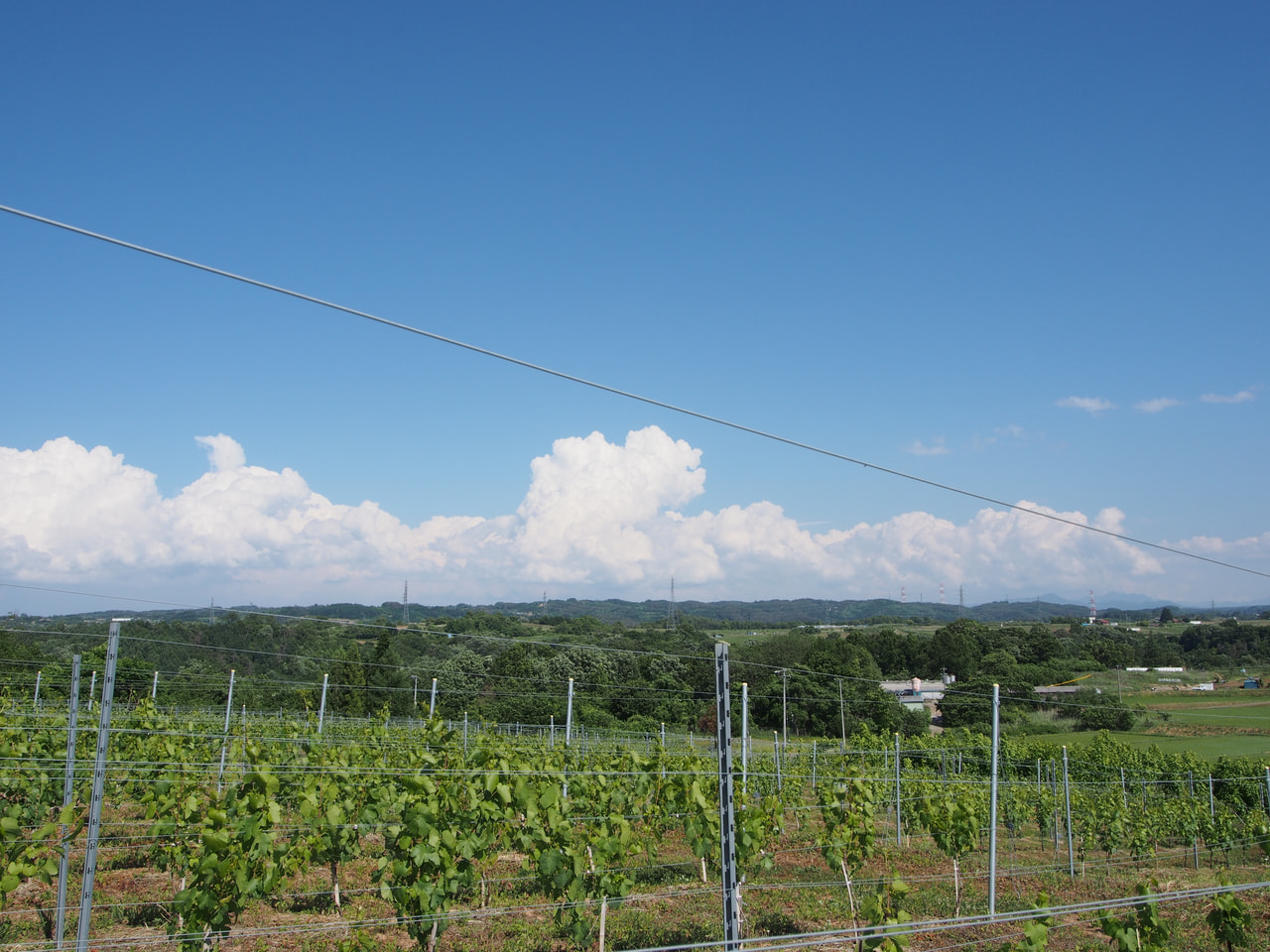 銀座に長野県のブランドショップがオープン