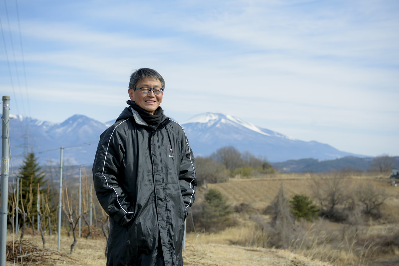 ワインぶどう収穫ボランティア募集のご案内 〜長野県北佐久郡立科町・いざわの畑〜