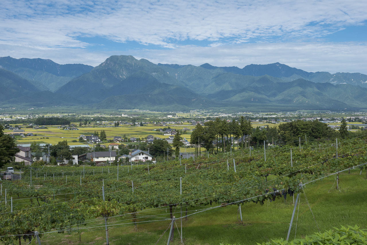 ときめく〝あづみの〟WINE<br>～3組の生産者と交流しながらお食事を楽しみましょう～