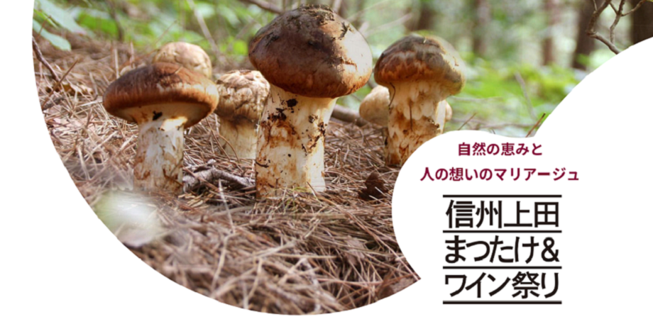 松茸 長野県産 南信州 （南信州産 松茸 国産松茸 まつたけ