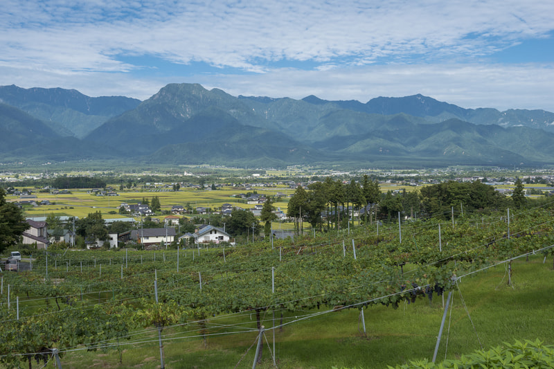 ときめく〝あづみの〟WINE<br>～3組の生産者と交流しながらお食事を楽しみましょう～