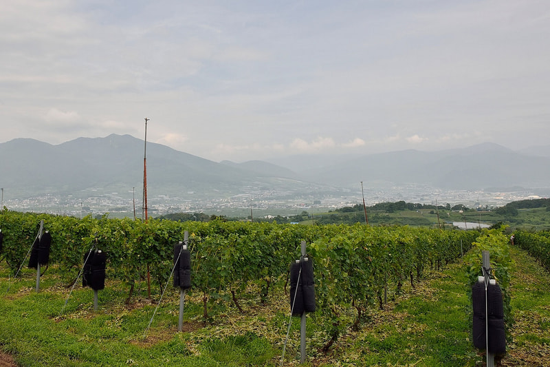 WINE DUO from Nagano<br>テラスグランツ・ワイン会 vol.5