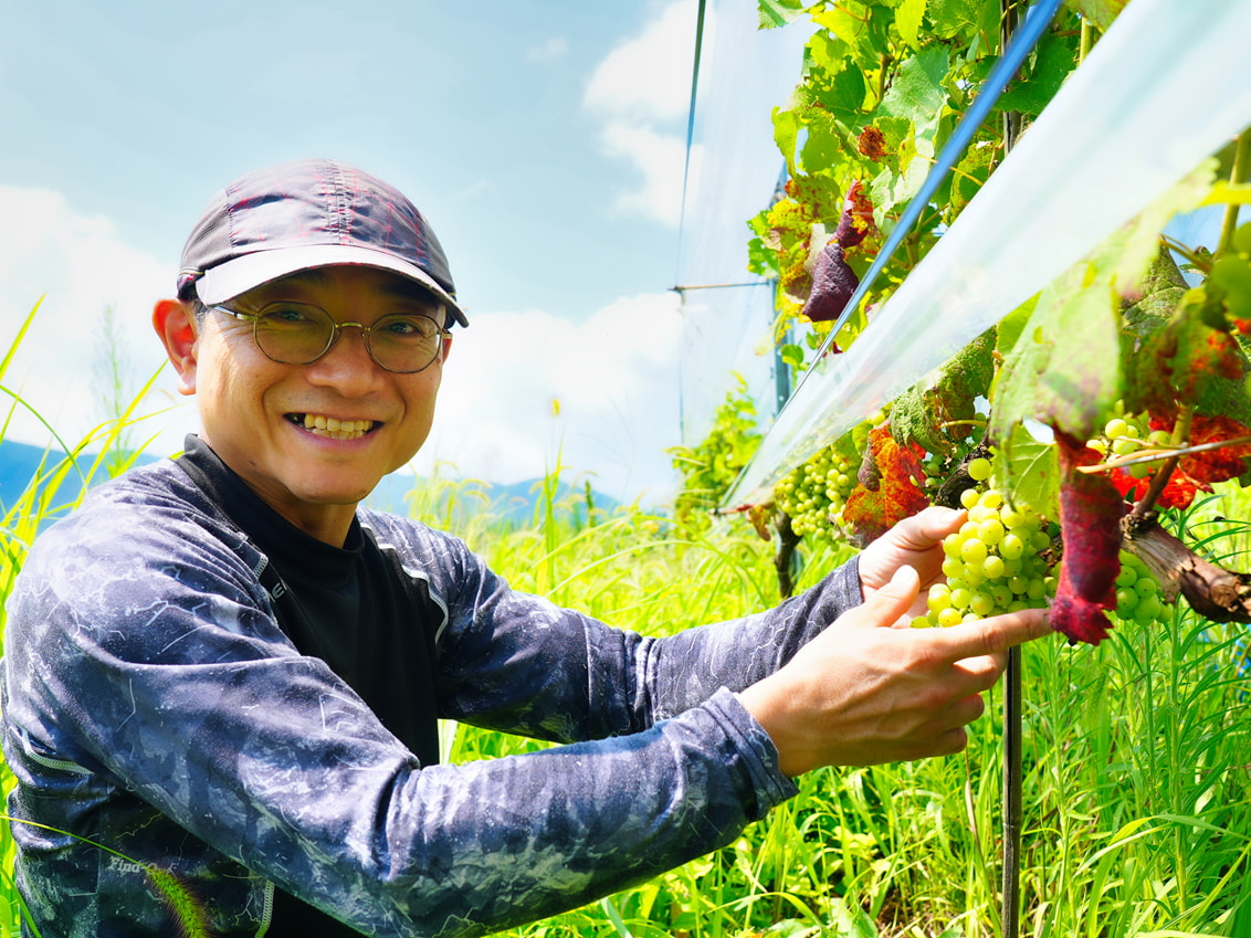 たのめワイナリー