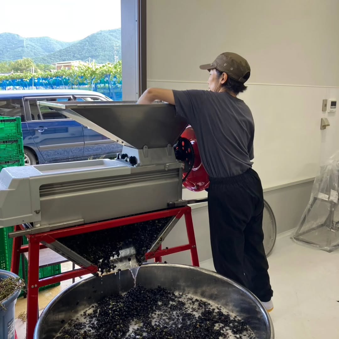 ドメーヌ・ヒロモニカ