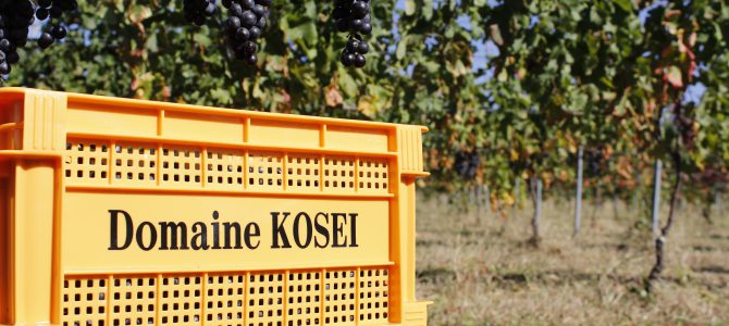 Domaine Kosei