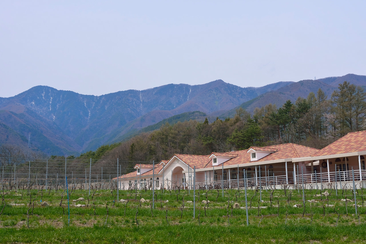 Azumino Winery