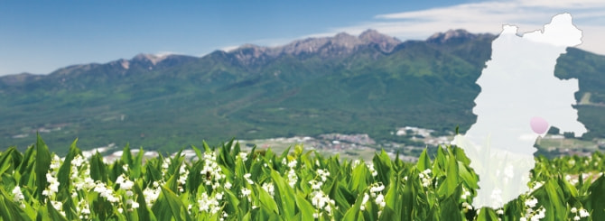 Yatsugatake Seiroku Wine Valley