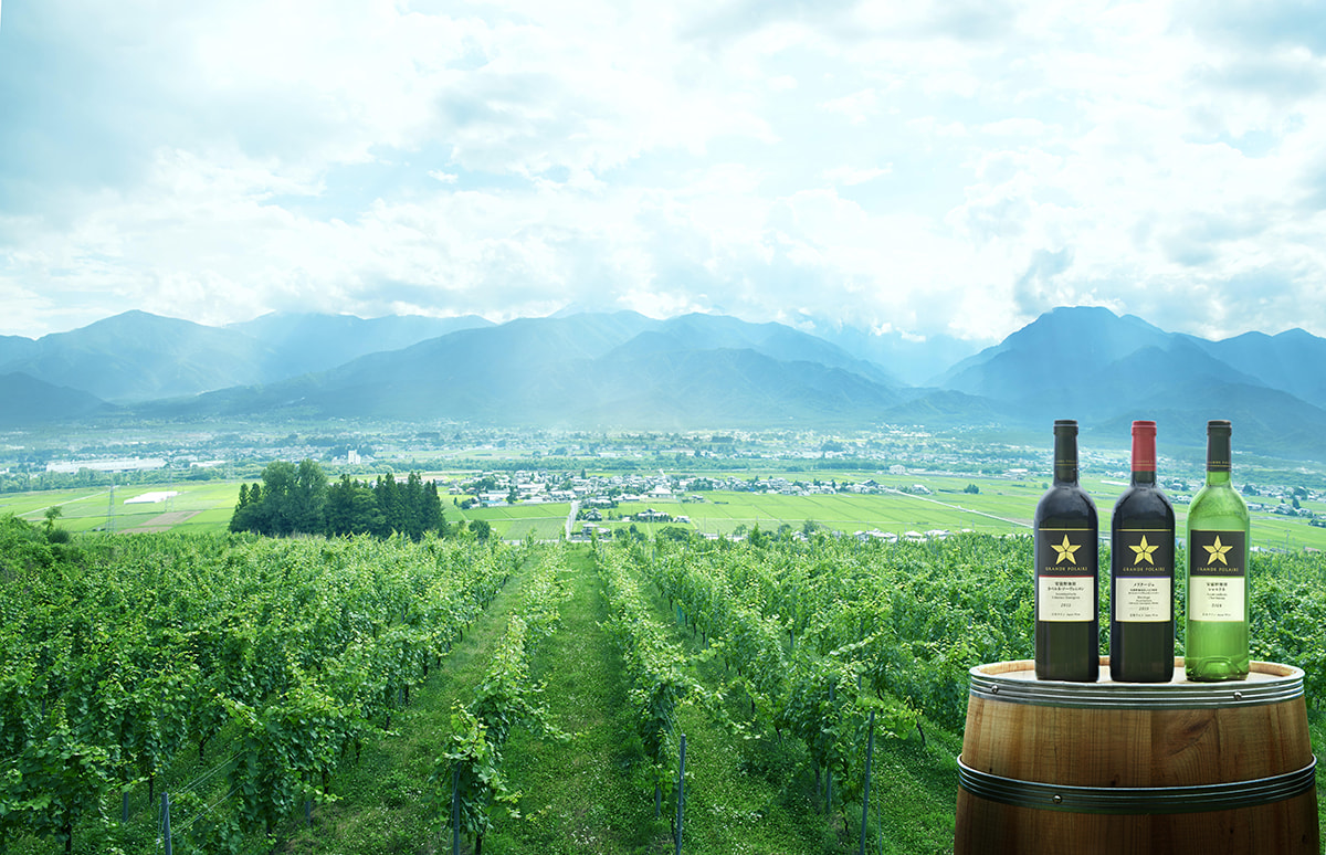 長野県のワイナリーのオンラインショップ一覧│NAGANO WINE