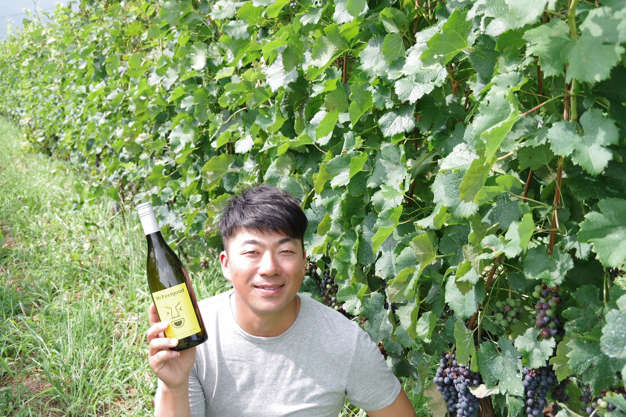 セイル・ザ・ シップ・ワイナリー｜千曲川ワインバレー｜信州ワイン